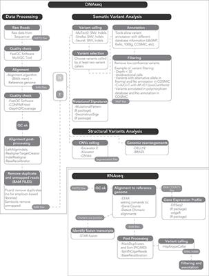 Next-Generation Sequencing for Clinical Management of Multiple Myeloma: Ready for Prime Time?